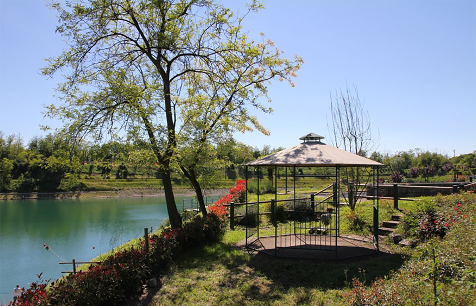 Affitto gazebo per una grigliata con gli amic