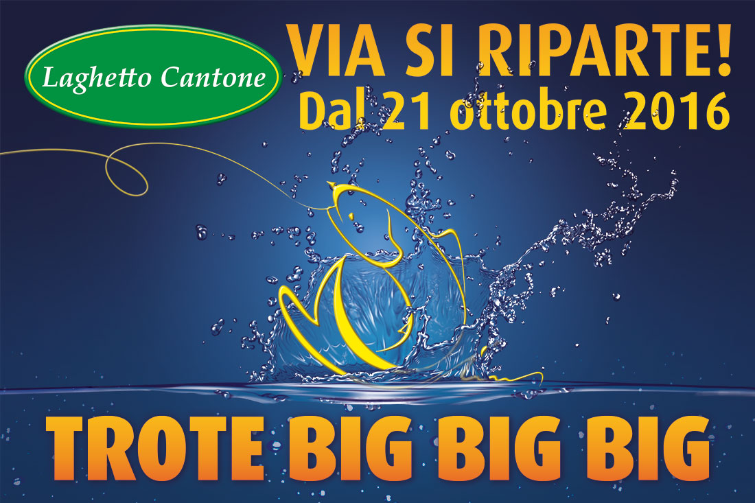 Immissione di trote Big