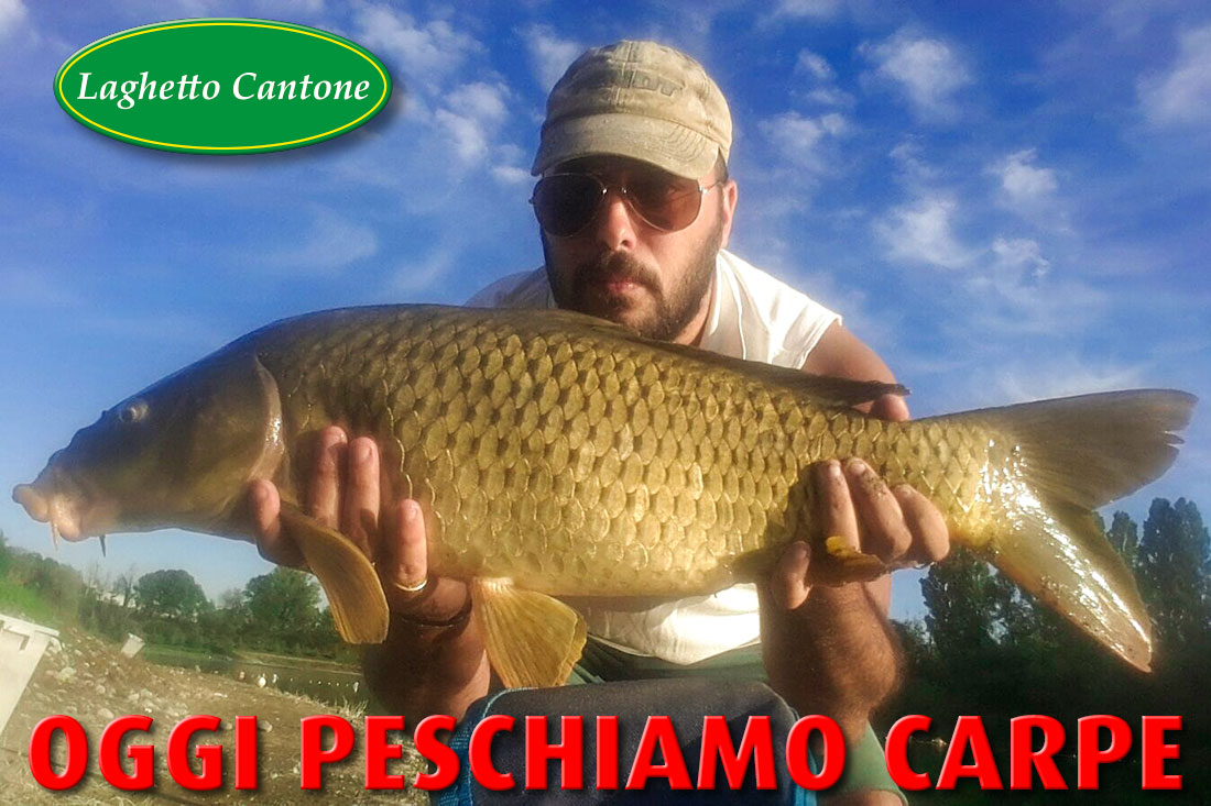 Pesca alla carpa